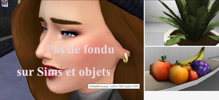 présenteation mizoreYukii pas de fondu sims et objets.jpg