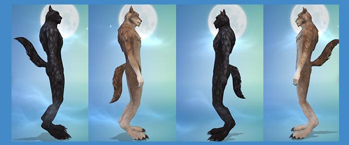 skin loup garou 1.jpg