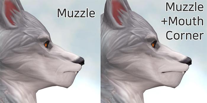 SLIDER MUSEAU LOUP GAROU.jpg VANDOE2.jpg