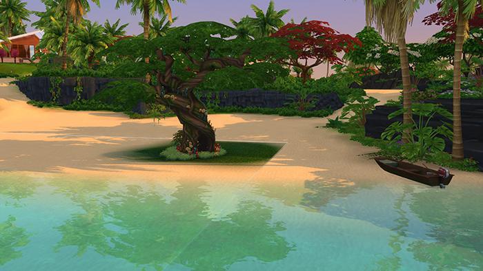 arbre à Sulani.jpg