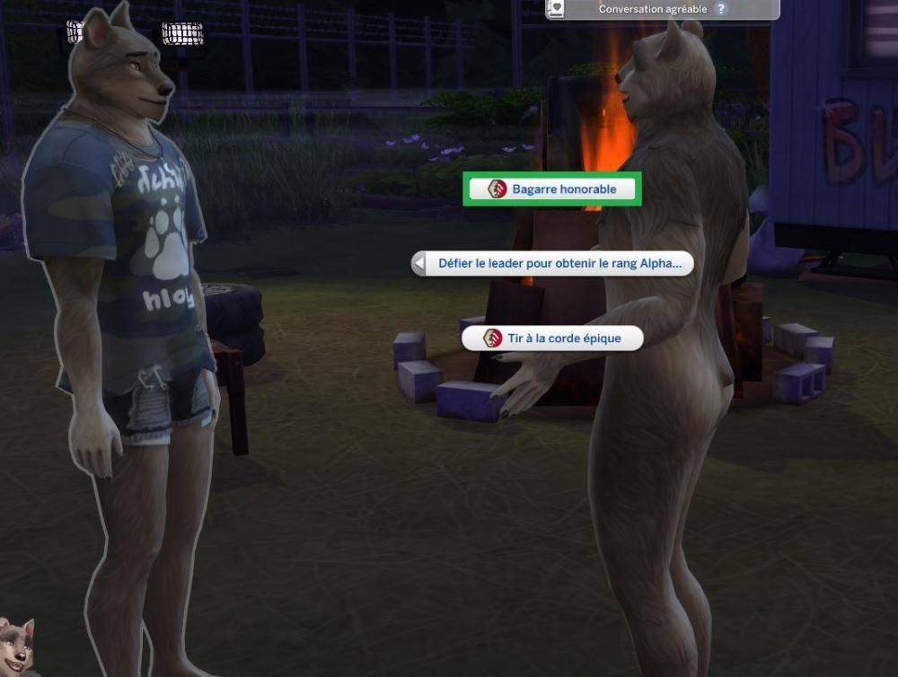 Captaure14.JPG
