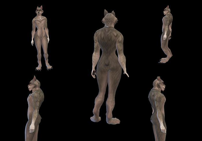 Morphologie féminine pour les loups-garous femelles CmarYc700.jpg