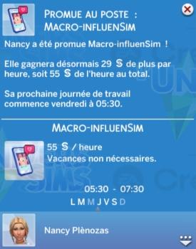 LS4-AL-Carriere-InfluenSim-nivcarriere-1.jpg