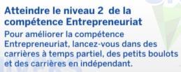 LS4-AL-Carriere-InfluenSim-nivcarriere-10.jpg