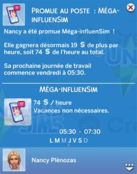 LS4-AL-Carriere-InfluenSim-nivcarriere-4.jpg