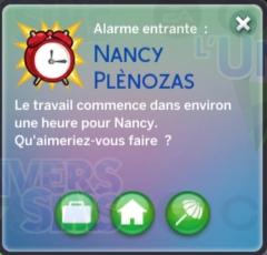LS4-AL-Carriere-InfluenSim-nivcarriere-9.jpg