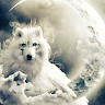 Foxyloveworkbeatiful