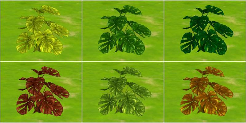 plante_verdoyante.jpg