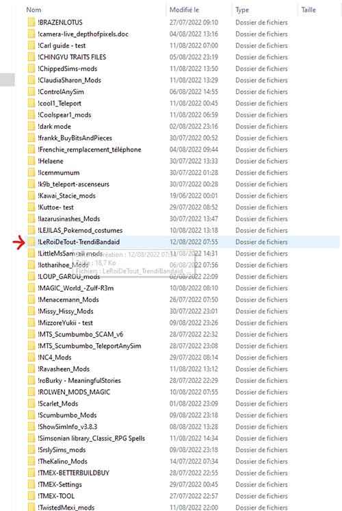 créer un fichier dans le dossier Mods.jpg