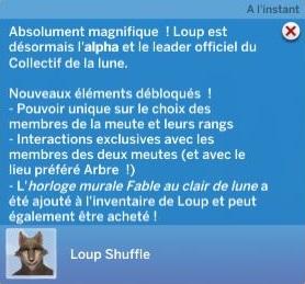16.JPG