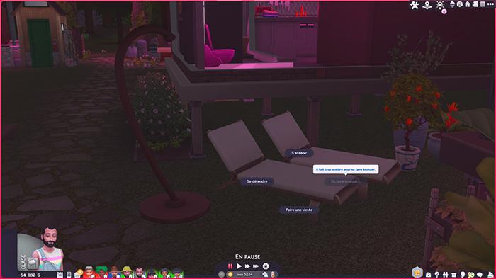 SE FAIRE BRONZER PARTOUT ET TOUS DEUX MODS.jpg