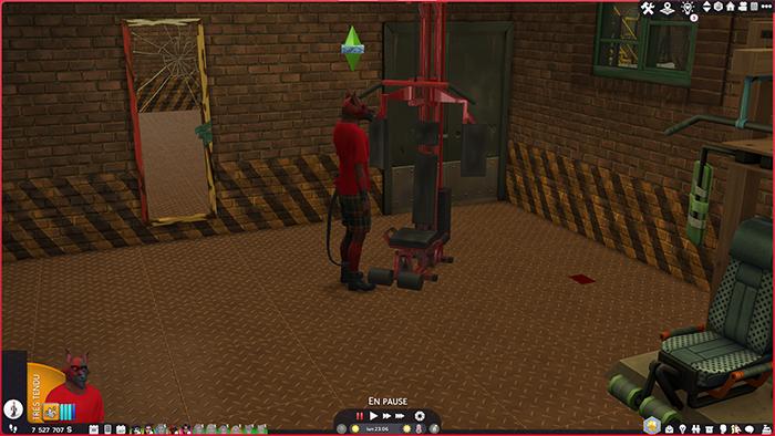 exemple de plus de Sims dans une famille px700.jpg