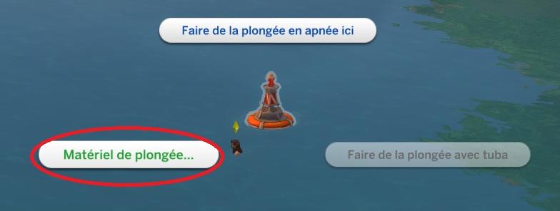 Sims 4 collections coquillages matériel de plongée.jpg