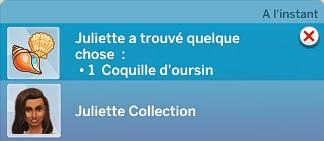 Sims 4 collections coquillages coquillage notif.jpg