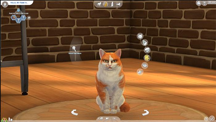 fond TS2 CAS sims45.jpg chat.jpg