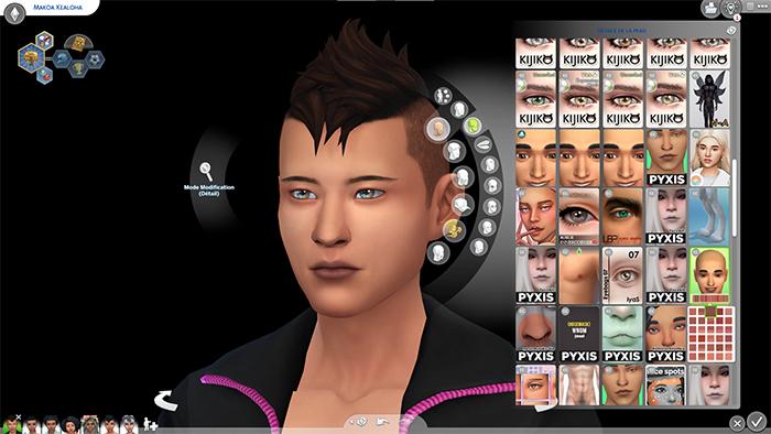Cas skin mizoreYukii  cc grise icônes.jpg