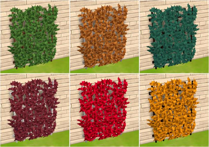Plantes grimpantes de jardin