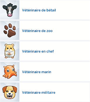 choix carriere.png