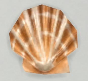 Sims 4 collections coquillages coquille saint jacques orange.jpg