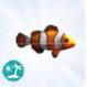 Luniversims Sims 4 île paradisiaque Poisson clown.jpg