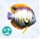 Luniversims Sims 4 île paradisiaque Poisson papillon.jpg
