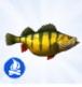 Luniversims Sims 4 Destination Nature Perche  jaune.jpg