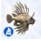Luniversims Sims 4 Destination Nature Poisson lion.jpg
