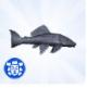Luniversims Sims 4 Dans la jungle Poisson chat blindé.jpg