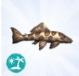 Luniversims Sims 4 île paradisiaque Requin léopard.jpg