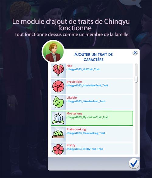 10.L'ajout de trait de Chingyu, on peut revoir les traits du Sim.jpg