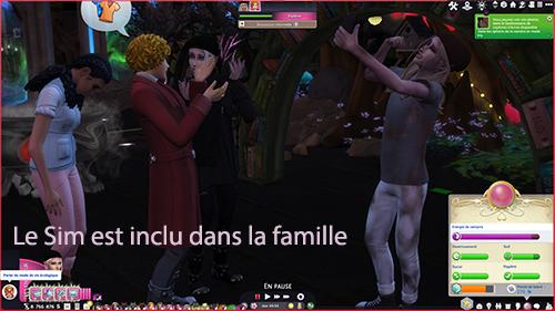 3.Les commandes du Sim sont accessibles, on peut faire ce que l'on veut avec..jpg
