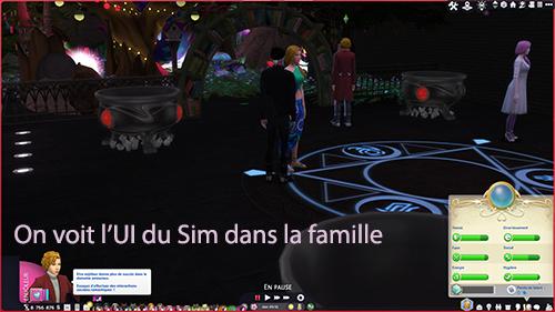 4.Le Sim apparaît dans les UI de la famille et ses données sont visibles..jpg