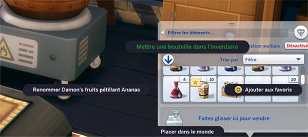 commande mettre dans l'inventaire du mod..jpg