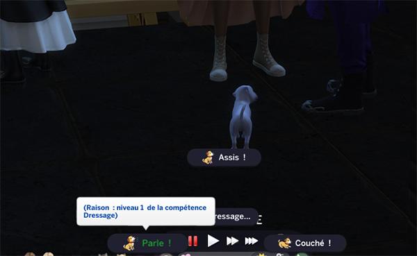 commande de dressage pour chiots de LittleMsSam, compétence un pour parle!.jpg