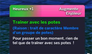 LE BONHEUR D ETRE AVEC SES POTES HUMEUR HEUREUSE DE LA BALADE EN BALAI.jpg
