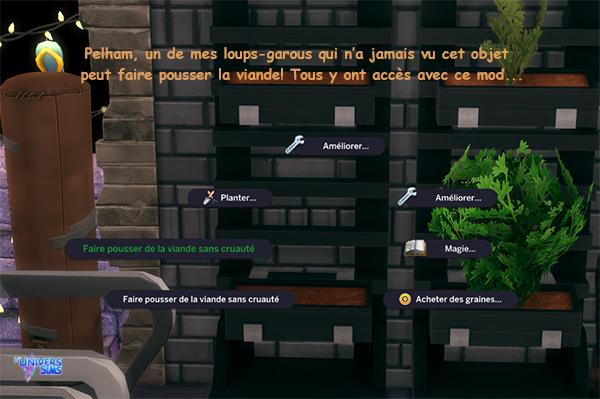 menu du Sim, tous sont autorisés à faire pousser la viande.jpg