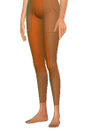 0x00000002!0x0000000000050d3b.0x3c1af1f2.png