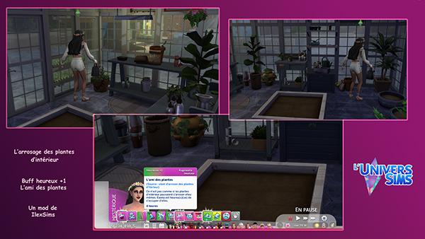 IlexSims-arroser vos plantes d'intérieur, présenté par luniversims.fr.jpg