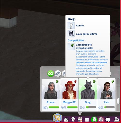 non maxis test, ma préférence, marqueur colorée des sentiments waffle.jpg