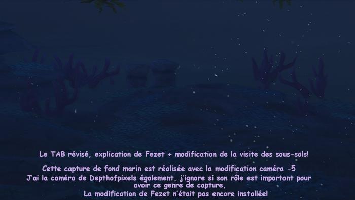 capture de fond marin luniversims.Fr-caméra sous sols modifiée..jpg