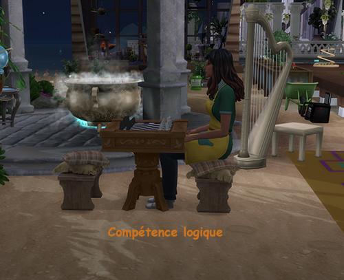 compétence logique.jpg
