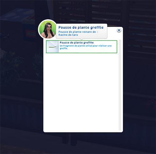 1.bouturer toutes les plantes de Gauntlet.jpg