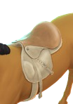 0x00000002!0x0000000000053d3a.0x3c1af1f2.png