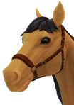 0x00000002!0x0000000000055f91.0x3c1af1f2.png