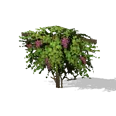 0x0052da83!0x0000000000052da8.0x3c2a8647.png