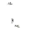 0x00532ed3!0x00000000000532ed.0x3c2a8647.png