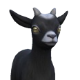 0x0054a443!0x0000000000054a44.0x3c2a8647.png