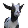 0x0054a453!0x0000000000054a45.0x3c2a8647.png