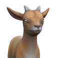 0x0054a463!0x0000000000054a46.0x3c2a8647.png