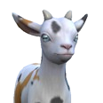 0x0054c413!0x0000000000054c41.0x3c2a8647.png